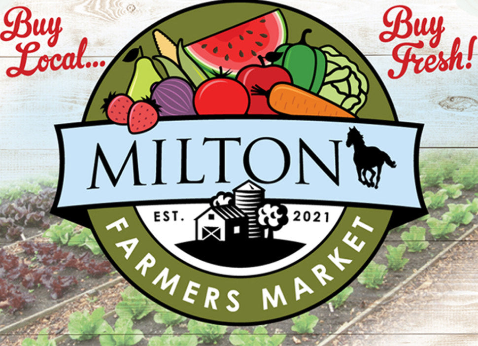 Where to find Hooch Pickles